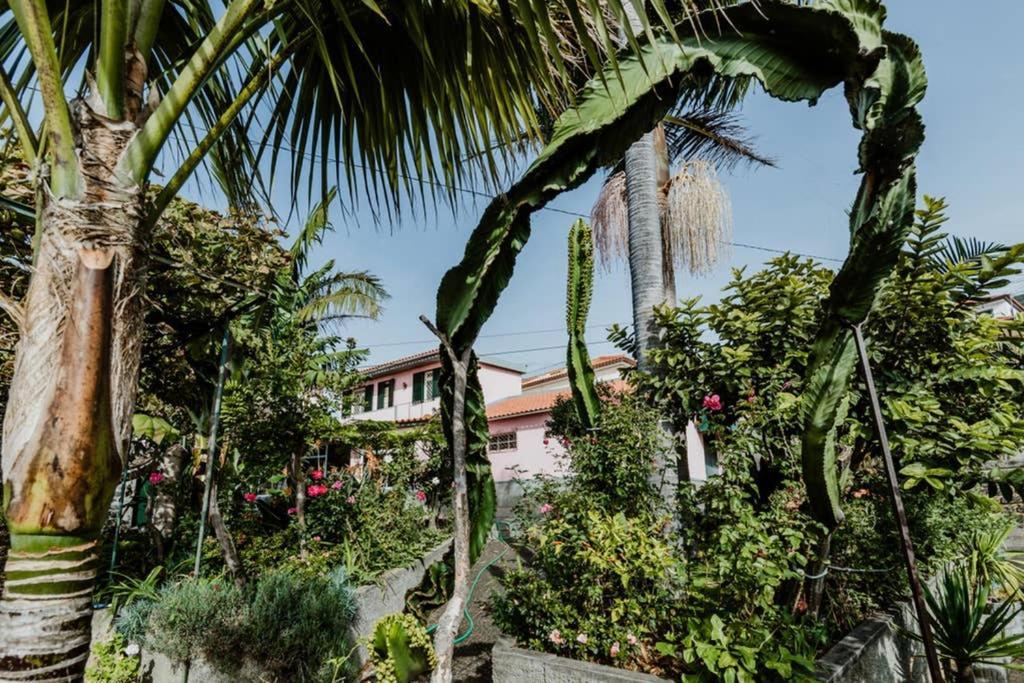 City View Gardens Funchal  Exterior photo