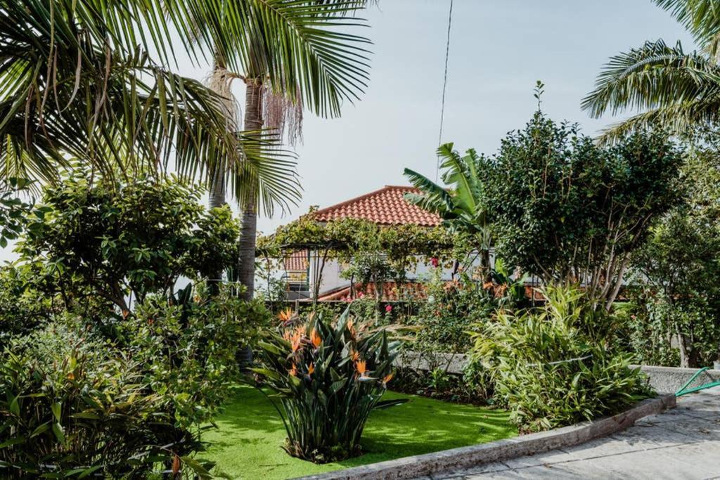 City View Gardens Funchal  Exterior photo